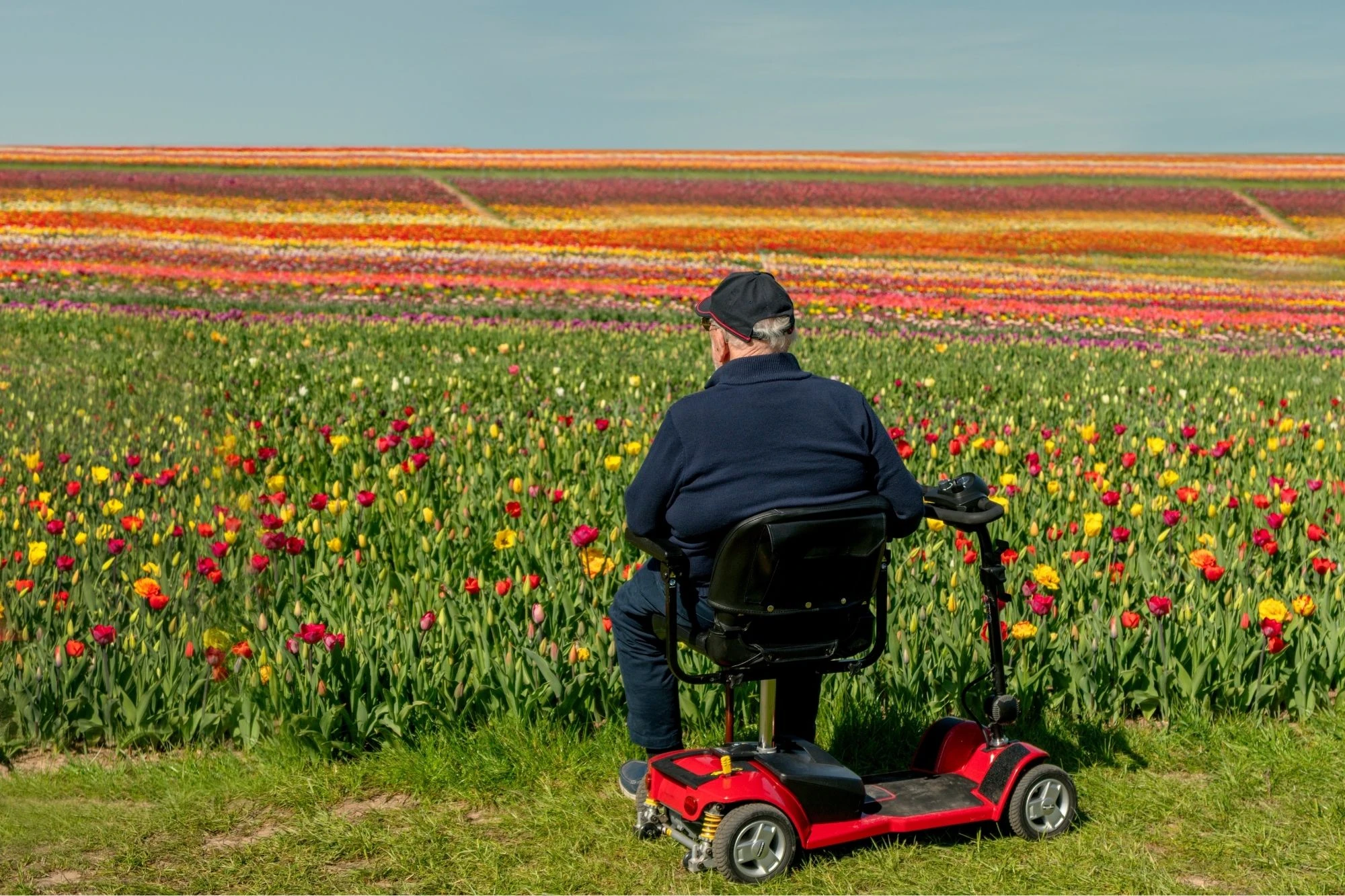 StrideOn Mobility Scooters